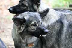 aIMG_0589