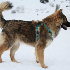 aIMG_0400