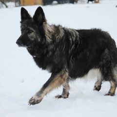 aIMG_0443