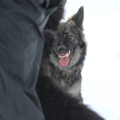 aIMG_0482