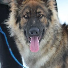 aIMG_0544
