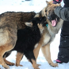 aIMG_0968