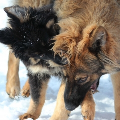 aIMG_0971