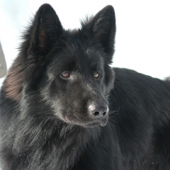 aIMG_0984