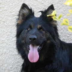 aIMG_7280