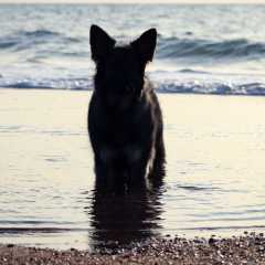 aIMG_0671