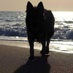 aIMG_0689