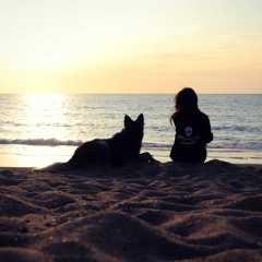 aIMG_0708