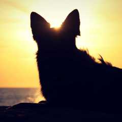 aIMG_0720