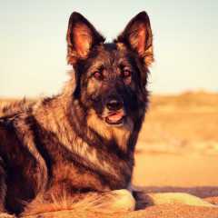aIMG_0722