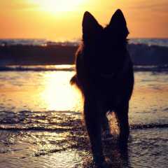aIMG_0748