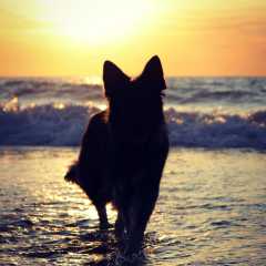 aIMG_0752