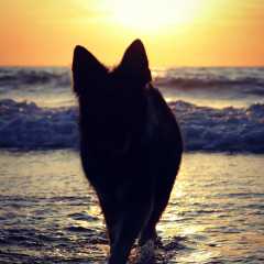aIMG_0757
