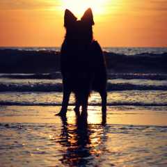 aIMG_0783