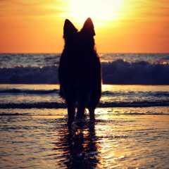aIMG_0786