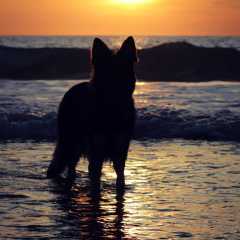 aIMG_0804