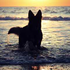 aIMG_0812