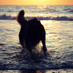 aIMG_0813