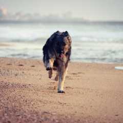 aIMG_0823