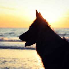 aIMG_0839