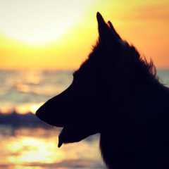 aIMG_0848
