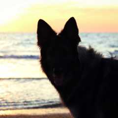 aIMG_0855