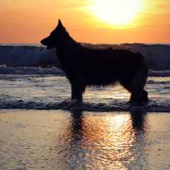 aIMG_0875