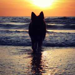 aIMG_0885