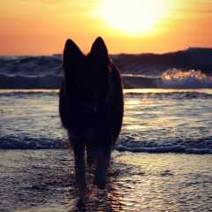 aIMG_0889