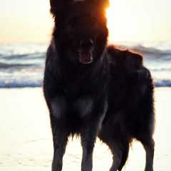 aIMG_0896