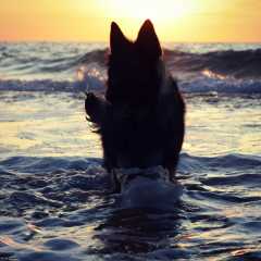 aIMG_0904