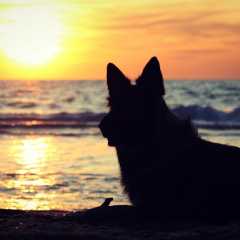 aIMG_0924