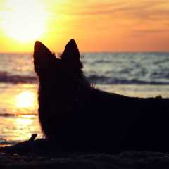 aIMG_0928
