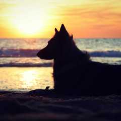 aIMG_0940