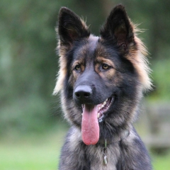aIMG_3289