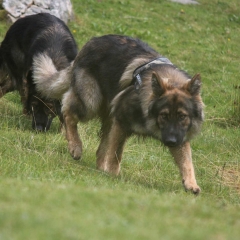 aIMG_3154