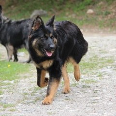 aIMG_3206