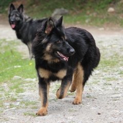 aIMG_3207