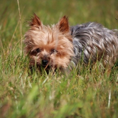 22829493_1462611110458876_3335428402493226351_o