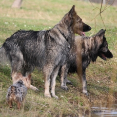 aIMG_1547