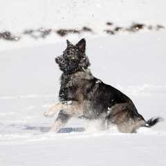 aIMG_4262