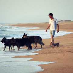 aIMG_2630