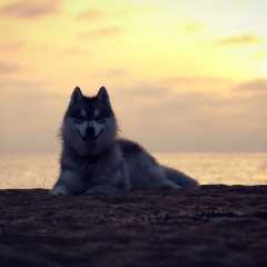 aIMG_2771