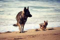 aIMG_2615