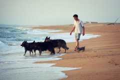 aIMG_2630