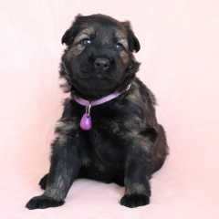 06.06.2021