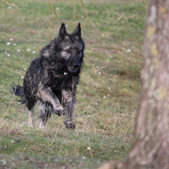 26.02.2017