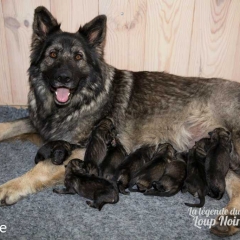 Naissance
