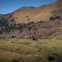 14.12.2025