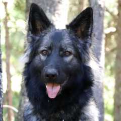 09.07.2022